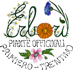 Azienda Agricola Erborì