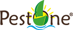 Pestone