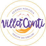 Villa Conti